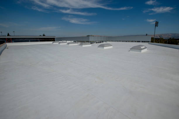 Best Roof Maintenance and Cleaning  in Zephyrhills West, FL