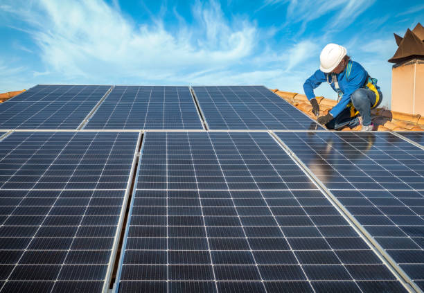 Best Roof Moss and Algae Removal  in Zephyrhills West, FL